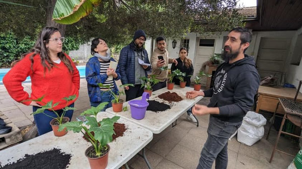 Taller Selva urbana - cuidados de plantas en Primavera
