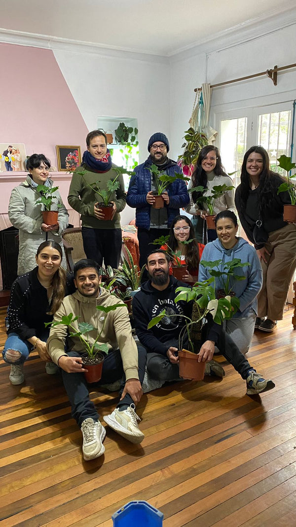 Taller Selva Urbana - Cuidado de plantas