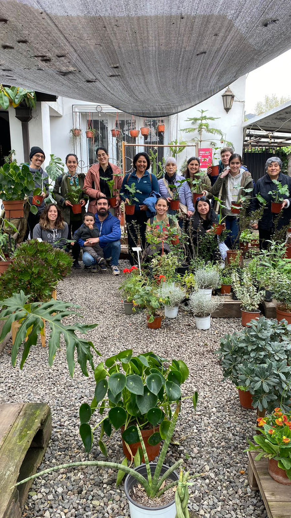 Taller Selva Urbana - Cuidado de plantas