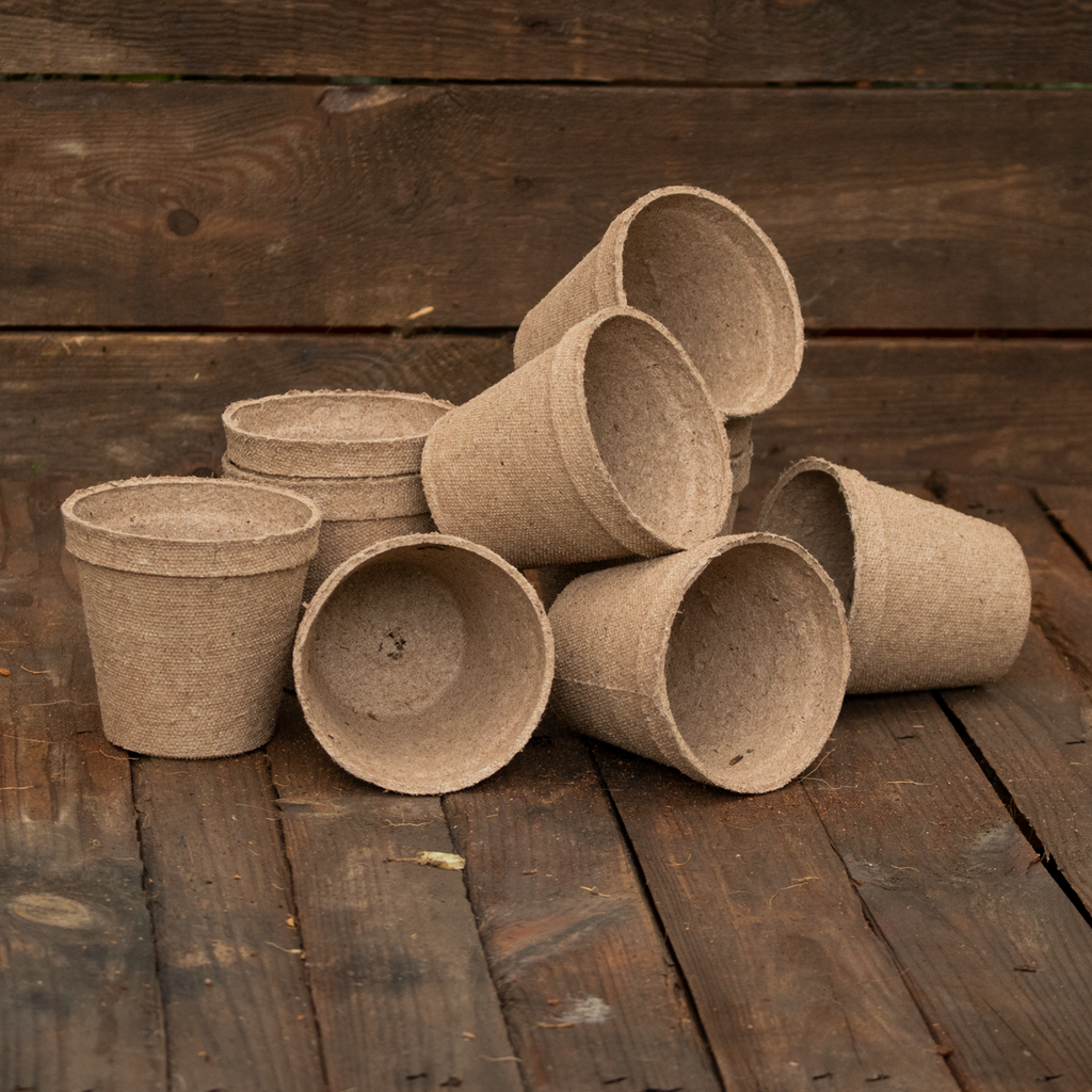10 Macetitas Biodegradables