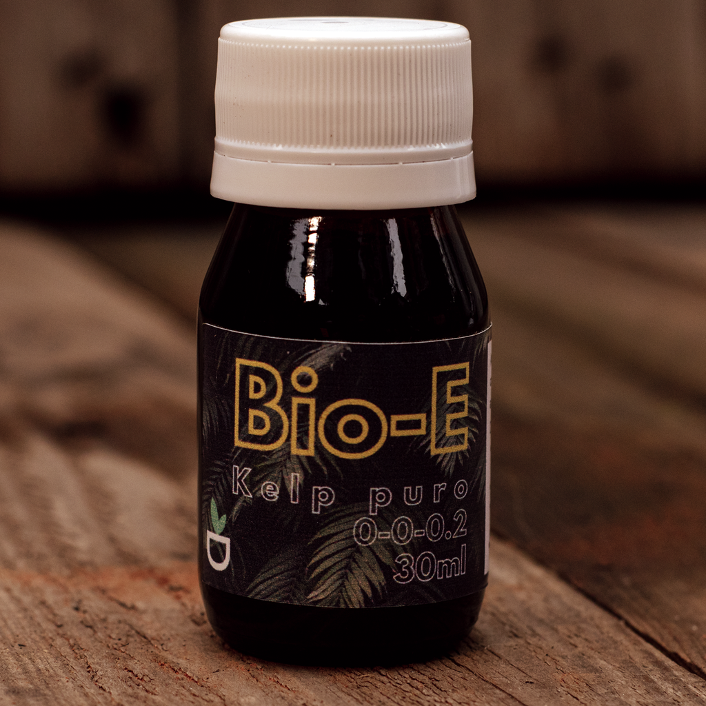 Bio-E es un Bioestimulante natural de alga kelp