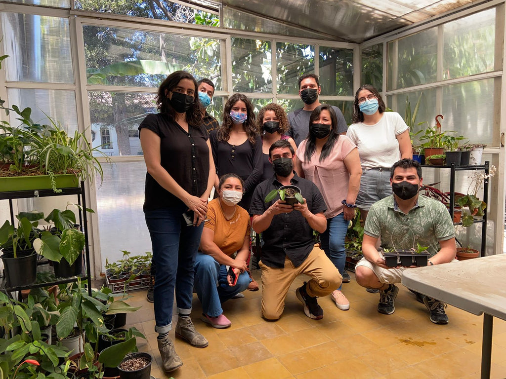 Taller Propagación Botánica