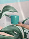 Sticky Image