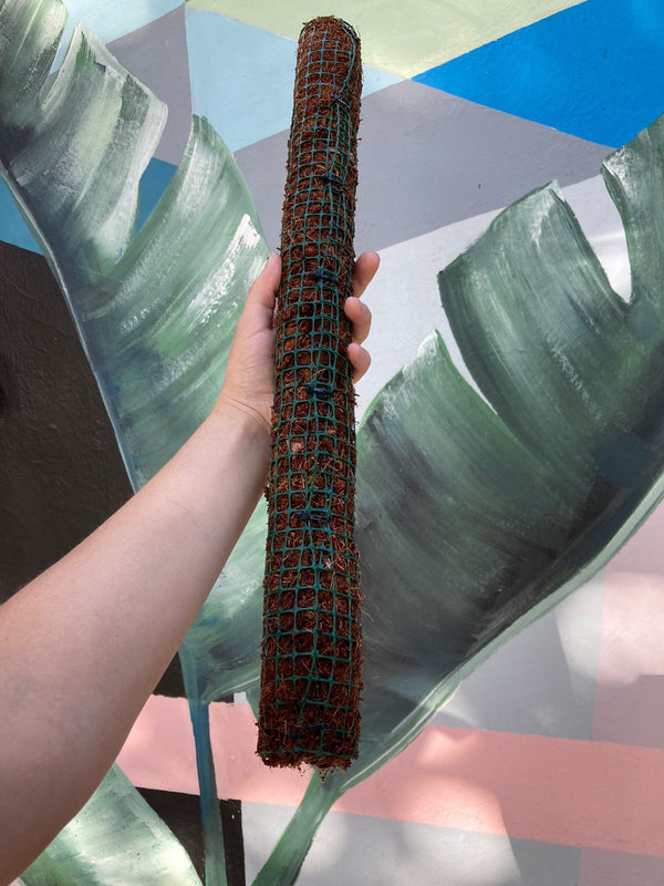Tutor fibra de coco 50 cm